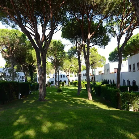 Piverd Del Golf 35